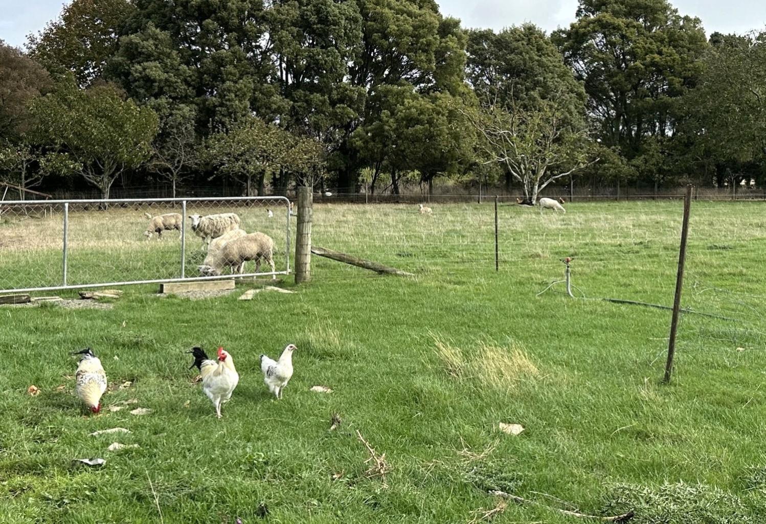 넬슨 Country Retreats On Ranzau 2 빌라 외부 사진